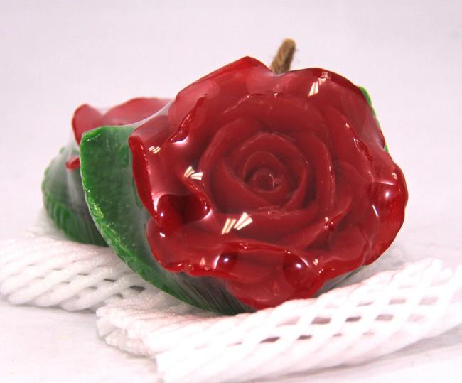 最美麗的紅玫瑰圖片的集合