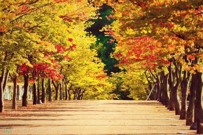 Sammlung der schönsten romantischen Herbstbilder
