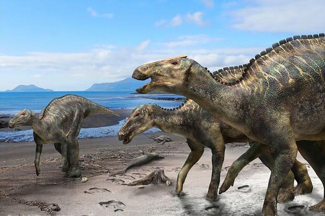 Collection of the most beautiful dinosaur images