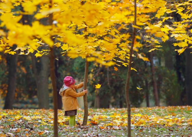 Collection des plus belles images romantiques d'automne