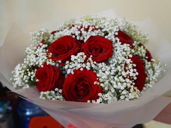 Verzameling van de mooiste rode rozen foto's
