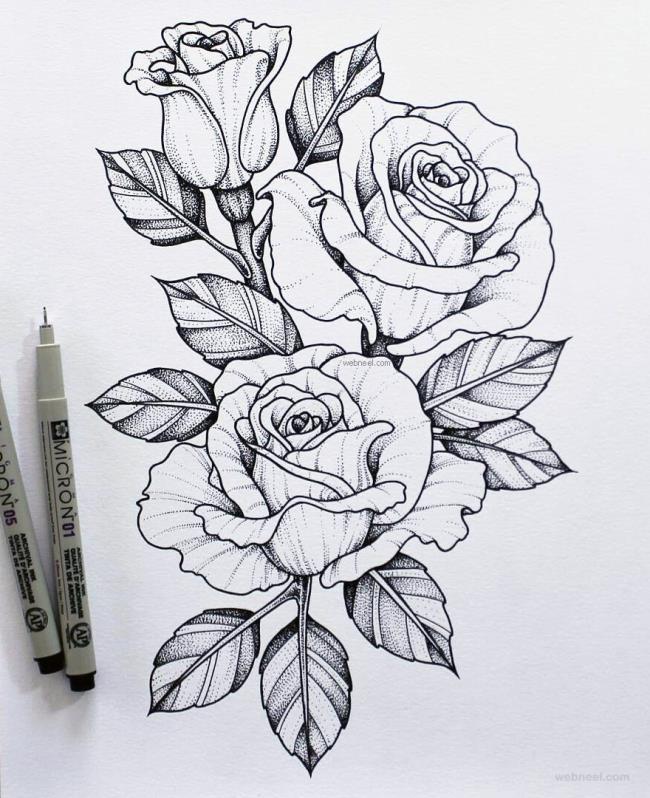 Colecție cu cele mai frumoase imagini cu trandafiri pictați cu un creion