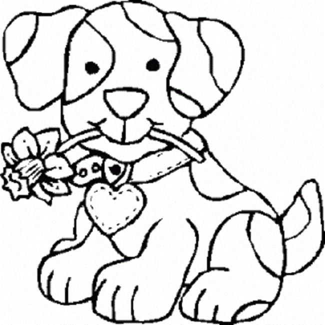 Summary of beautiful and simple coloring pictures for 5-year-old babies