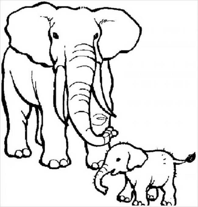 Collection of the most beautiful elephant coloring pictures