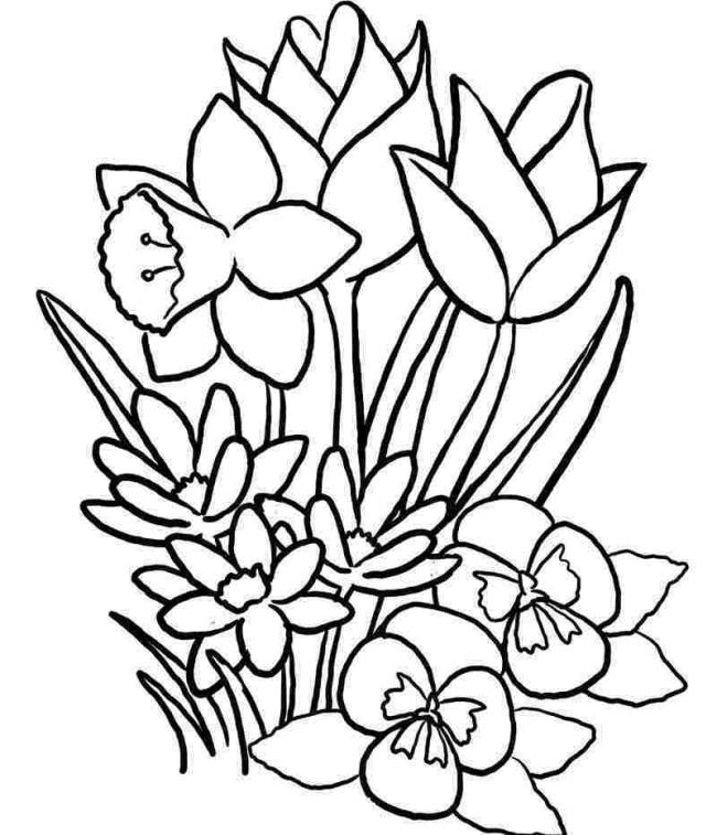 Summary of beautiful and simple coloring pictures for 5-year-old babies