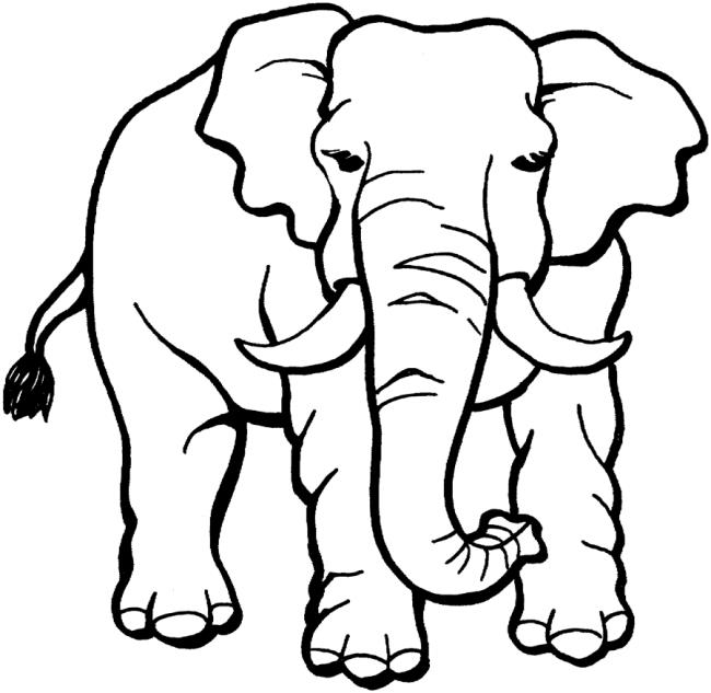 Collection of the most beautiful elephant coloring pictures