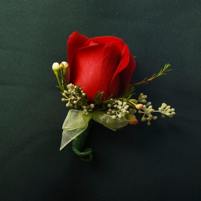 Коллекция самых красивых картин красных роз
