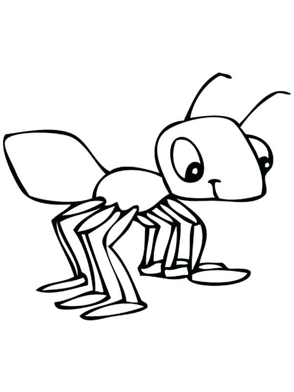 Koleksi gambar mewarnai semut yang paling indah untuk anak-anak