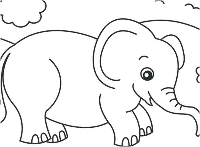 Collection of the most beautiful elephant coloring pictures