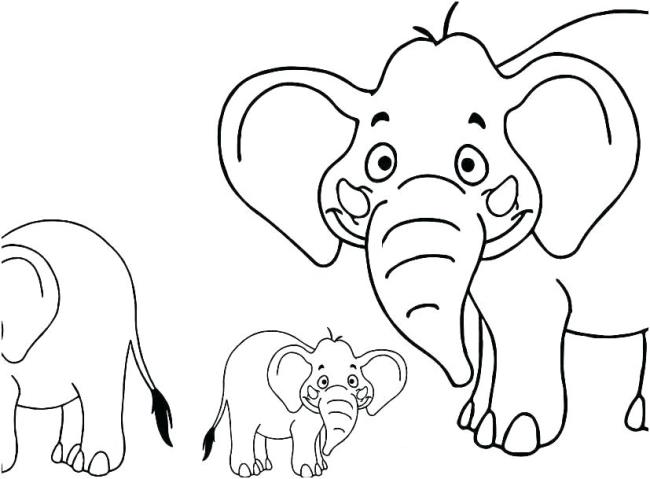 Collection of the most beautiful elephant coloring pictures