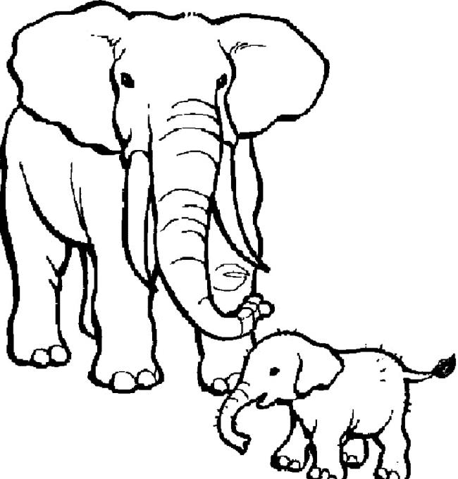 Collection of the most beautiful elephant coloring pictures