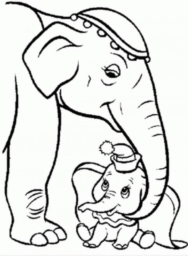 Collection of the most beautiful elephant coloring pictures