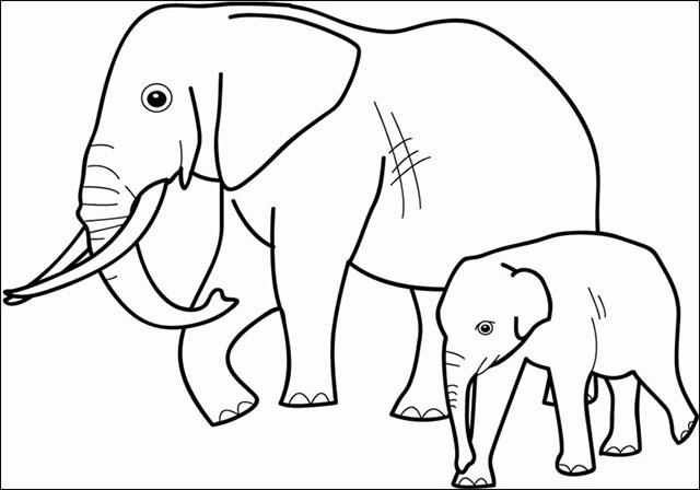 Collection of the most beautiful elephant coloring pictures