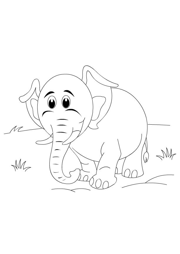 Collection of the most beautiful elephant coloring pictures