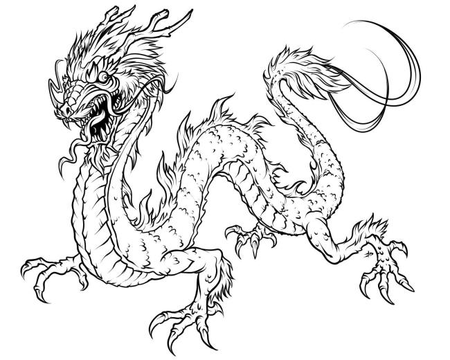 Collection of the most beautiful dragon coloring pictures