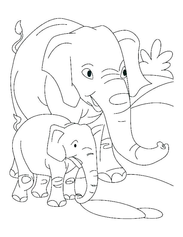 Collection of the most beautiful elephant coloring pictures