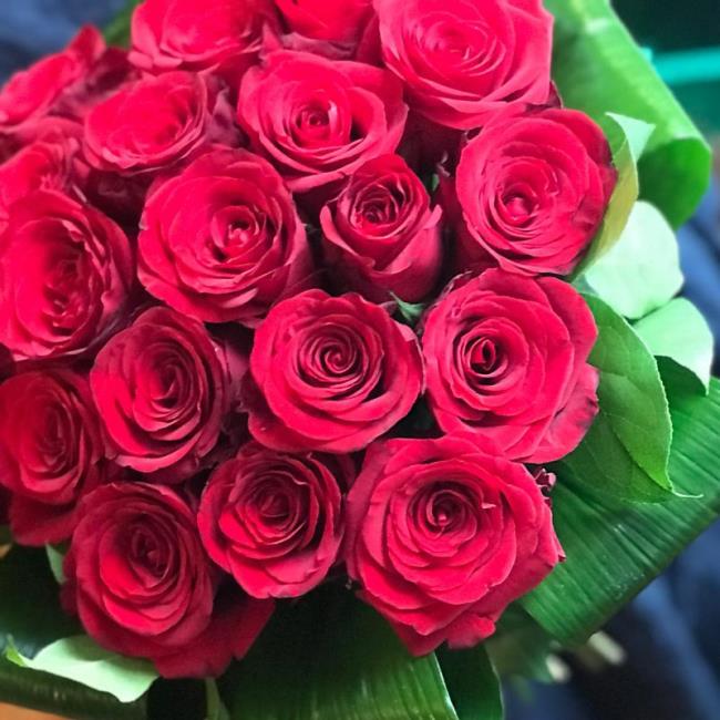 Sammlung der schönsten roten Rosenbilder