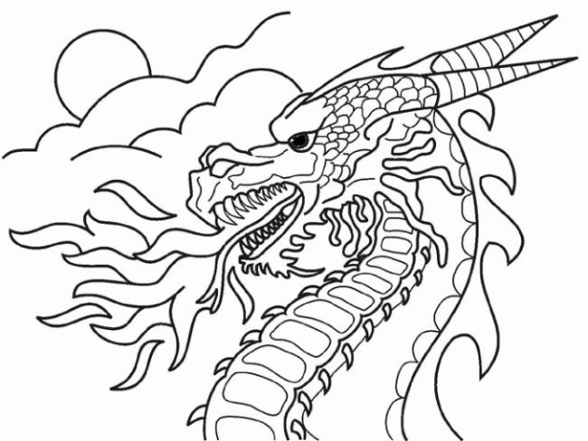 Collection of the most beautiful dragon coloring pictures