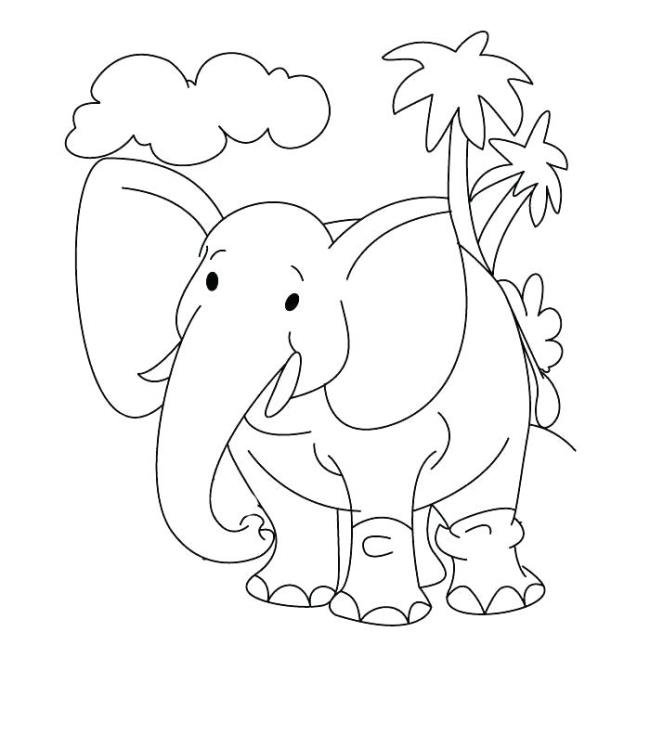 Collection of the most beautiful elephant coloring pictures