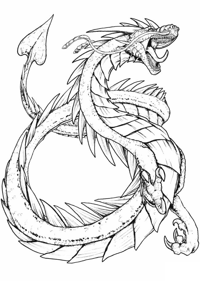 Collection of the most beautiful dragon coloring pictures