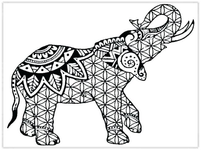 Collection of the most beautiful elephant coloring pictures