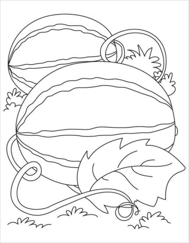 Collection of watermelon coloring pictures for babies to practice coloring