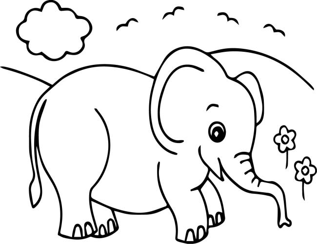 Collection of the most beautiful elephant coloring pictures