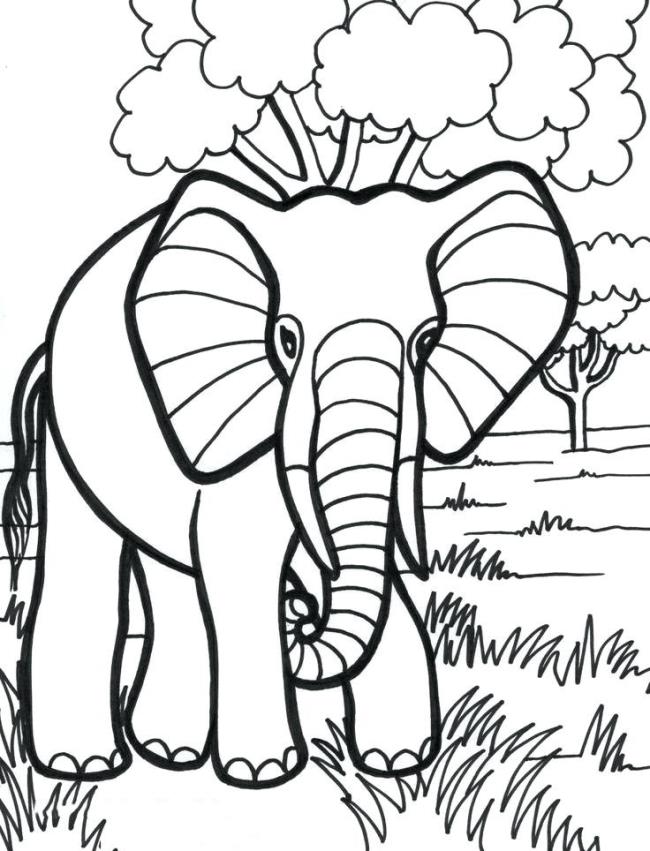 Collection of the most beautiful elephant coloring pictures