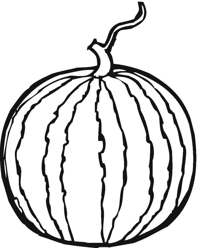 Collection of watermelon coloring pictures for babies to practice coloring