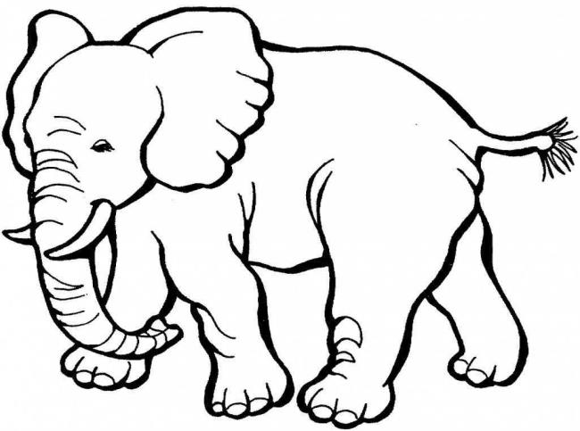 Collection of the most beautiful elephant coloring pictures