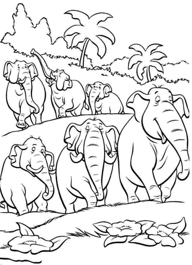 Collection of the most beautiful elephant coloring pictures