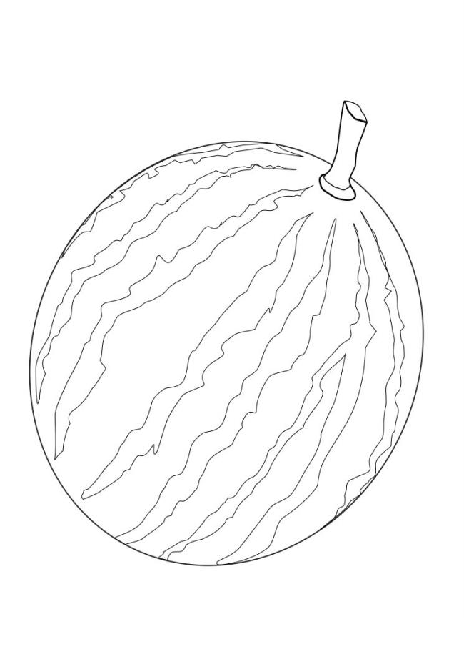 Collection of watermelon coloring pictures for babies to practice coloring