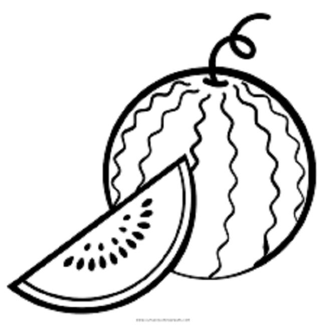 Collection of watermelon coloring pictures for babies to practice coloring