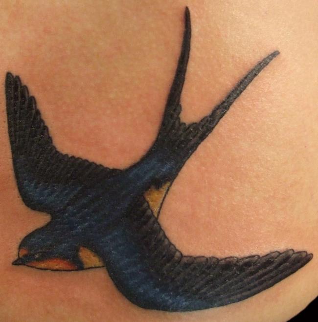 Recommend 50+ most beautiful swallow tattoo patterns