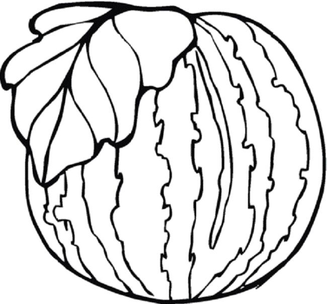 Collection of watermelon coloring pictures for babies to practice coloring