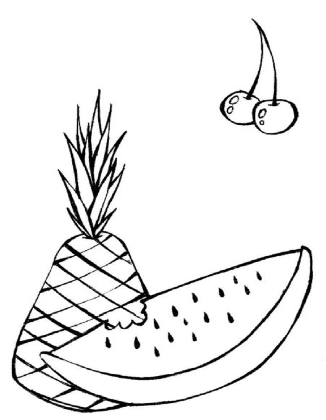 Collection of watermelon coloring pictures for babies to practice coloring