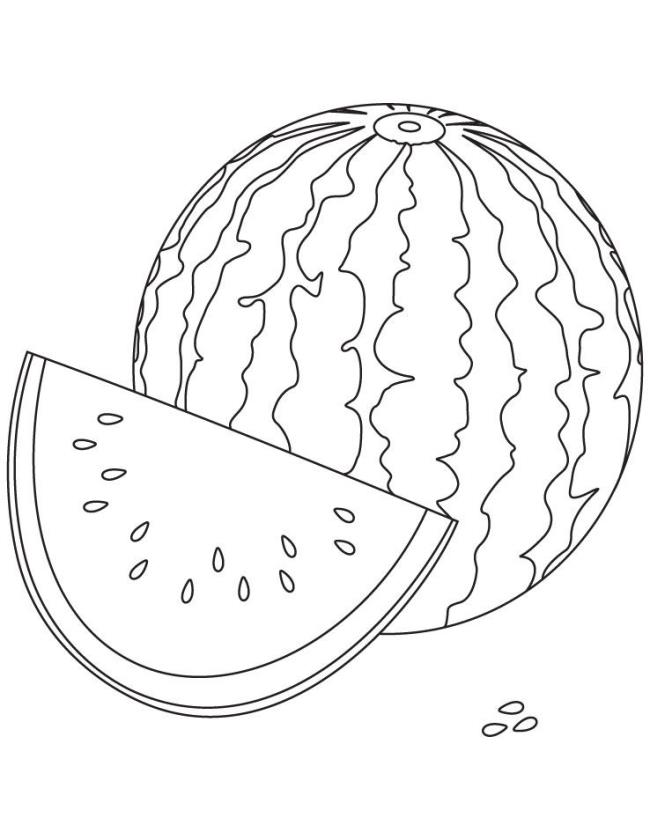 Collection of watermelon coloring pictures for babies to practice coloring