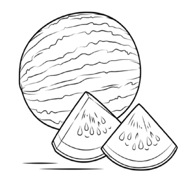 Collection of watermelon coloring pictures for babies to practice coloring