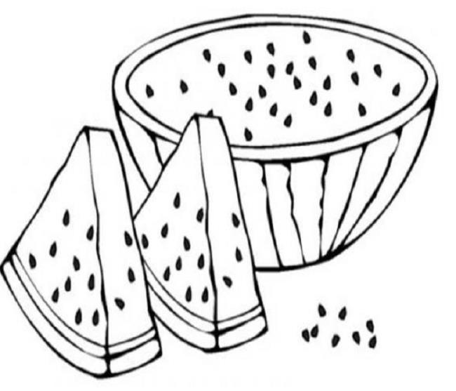 Collection of watermelon coloring pictures for babies to practice coloring