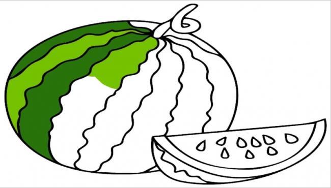 Collection of watermelon coloring pictures for babies to practice coloring