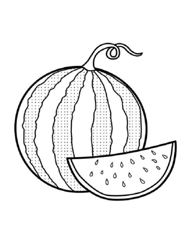 Collection of watermelon coloring pictures for babies to practice coloring