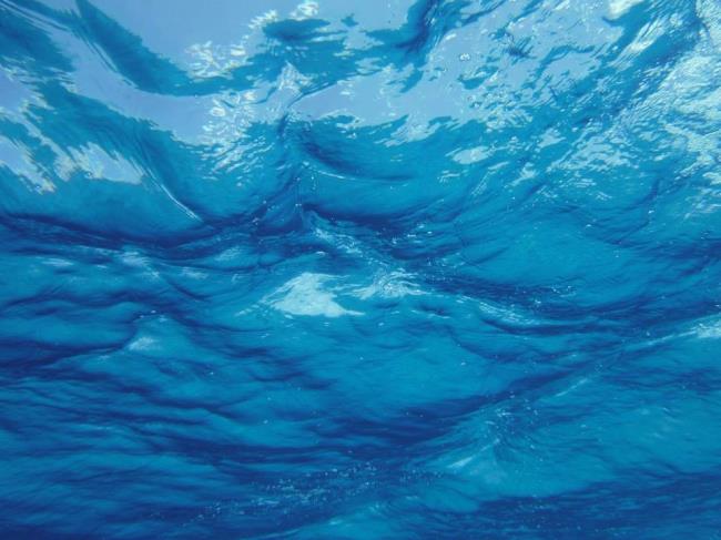 Coleção das mais belas imagens de fundo da água