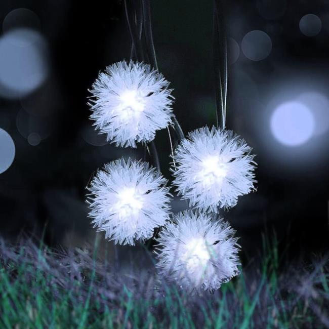 Güzel karahindiba çiçek resimleri