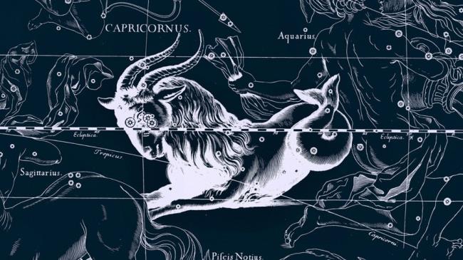 Collection des plus belles images d'arc de Capricorne
