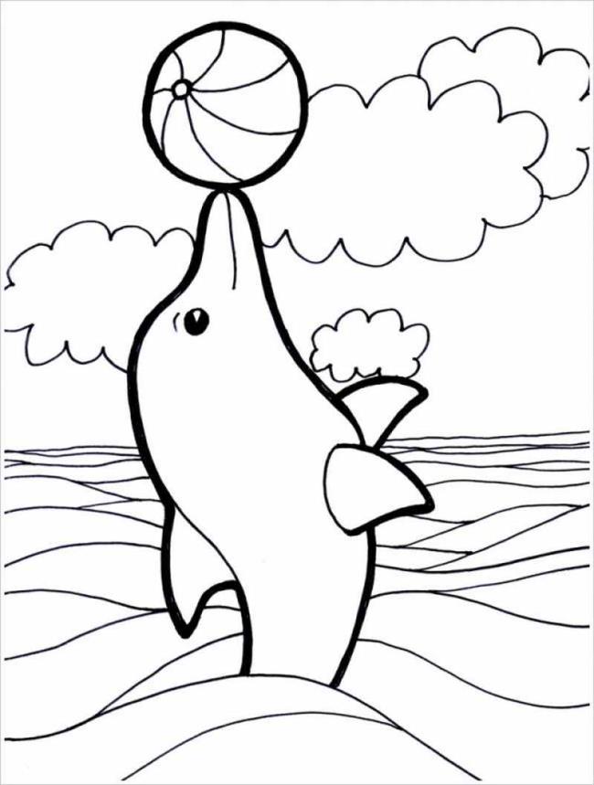 Collection of beautiful shark coloring pictures