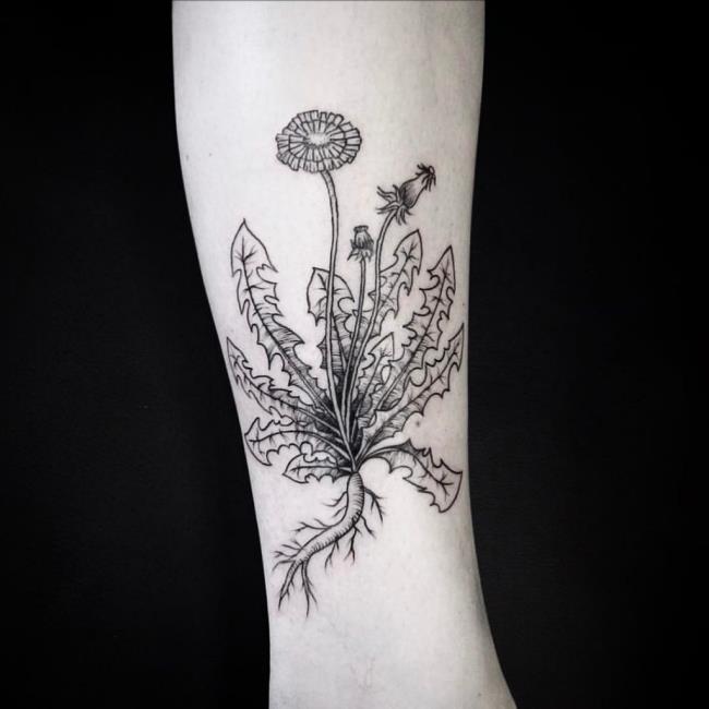 Koleksi corak tatu bunga dandelion yang paling indah