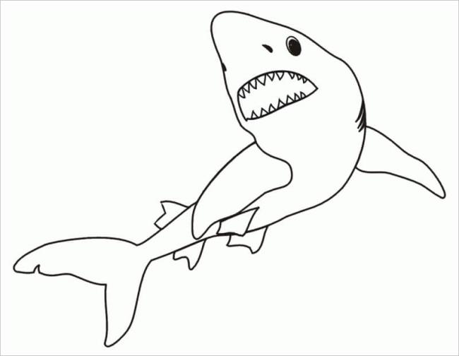 Collection of beautiful shark coloring pictures