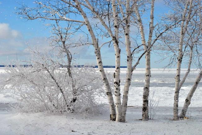مجموعه ای از زیباترین تصاویر زمستانی
