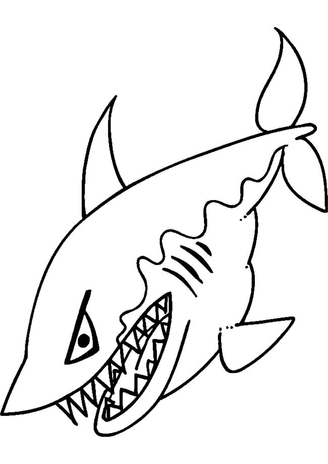 Collection of beautiful shark coloring pictures