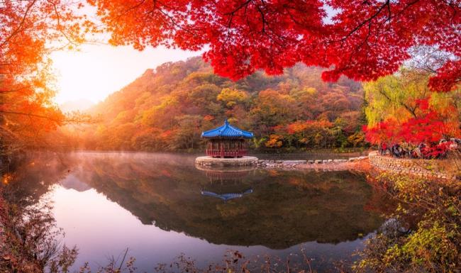 韓国の最も美しい画像のコレクション